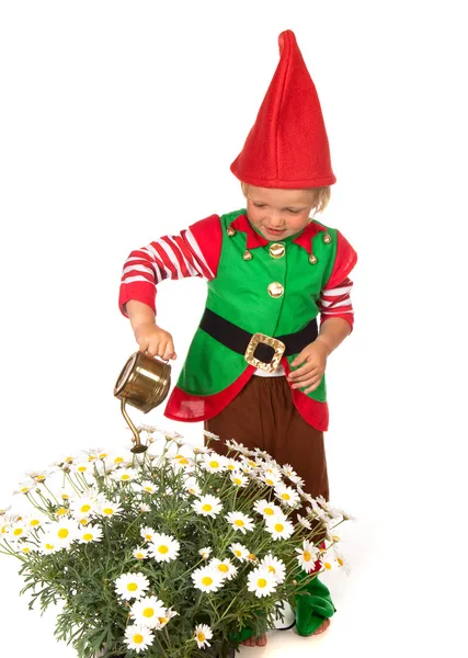 Tuin gnome jongen met madeliefjes — Stockfoto