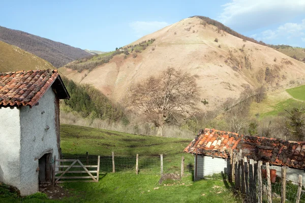 stock image Pastorale