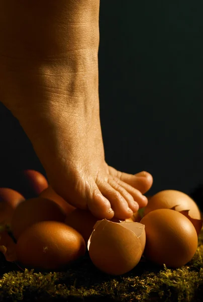Walk on Eggs — Stock Photo, Image
