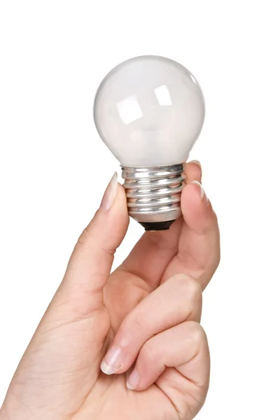 stock image Bulb holding