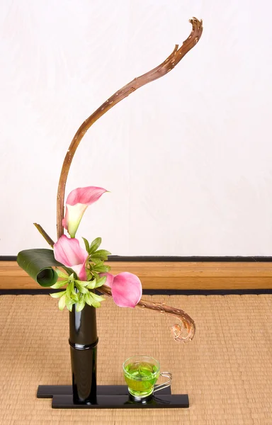 Chá verde e ikebana — Fotografia de Stock