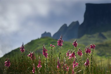 Isle of Skye clipart