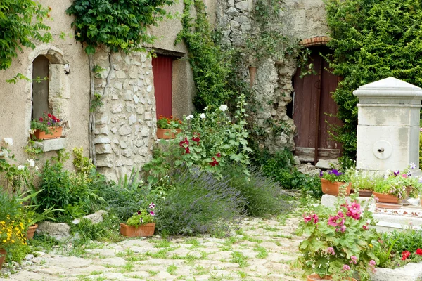 Garden in Provence — Stock Photo, Image