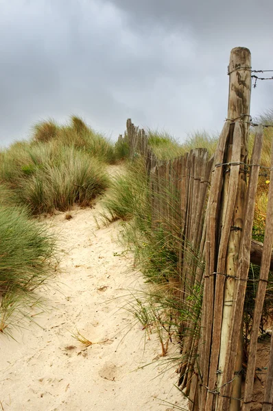 Gate in the dunes — Stock Photo, Image