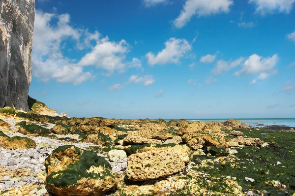 Mavi okyanus ve kayalıklarla — Stok fotoğraf