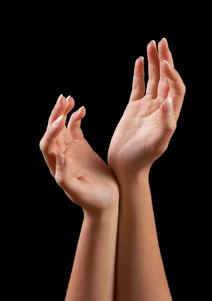 Elegantní ruce — Stock fotografie