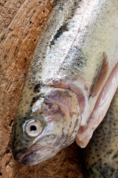 Fish closeup — Stock Photo, Image