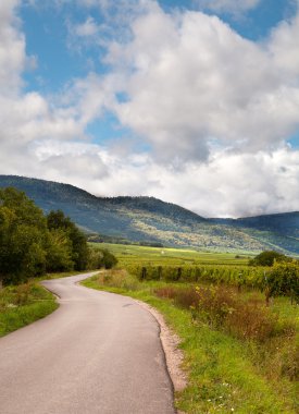 Curving road through vineyards clipart