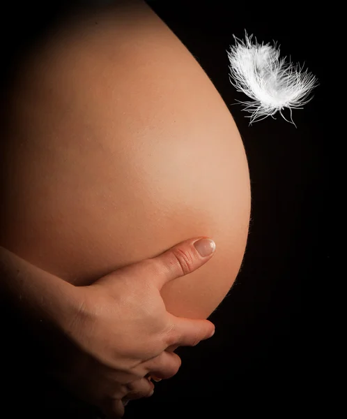 Pióro i brzuch w ciąży — Zdjęcie stockowe