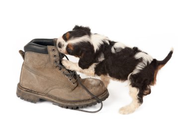 Big boot with small dog clipart