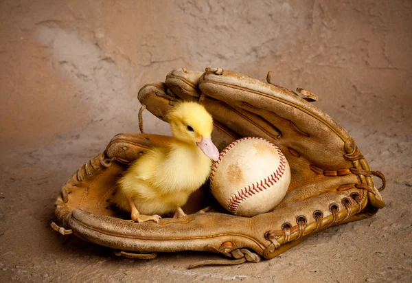 Baseball káčátko — Stock fotografie