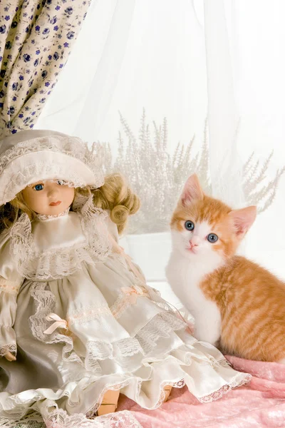 Kitten and doll — Stock Photo, Image