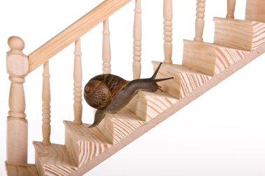 Snail on stairs clipart