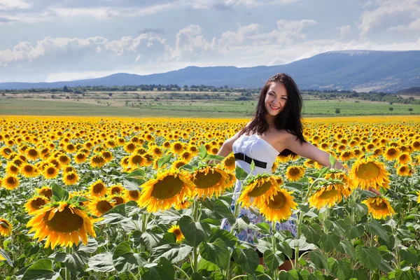 Zonnebloem veld in Bulgarije — Stockfoto