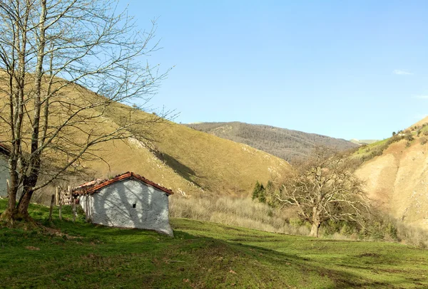 stock image Mountain house