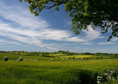 Derbyshire Fields clipart