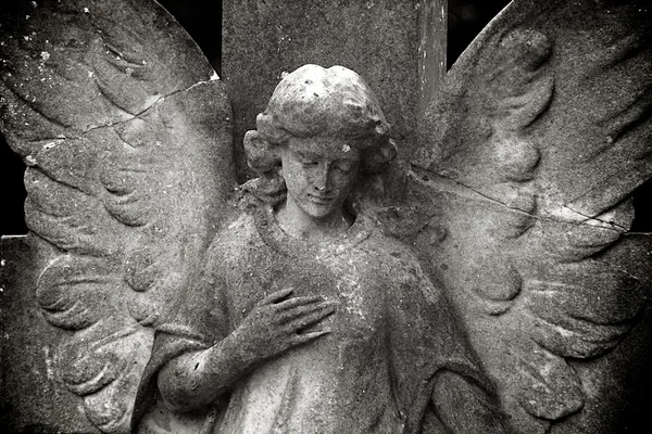 Rozdělená angel — Stock fotografie