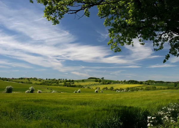 stock image Derbyshire Fields