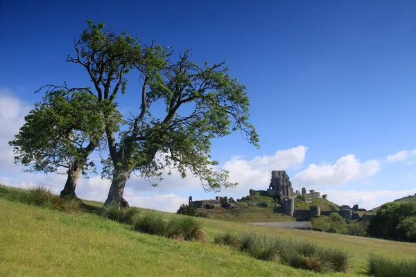 Corfe замок Ліцензійні Стокові Зображення