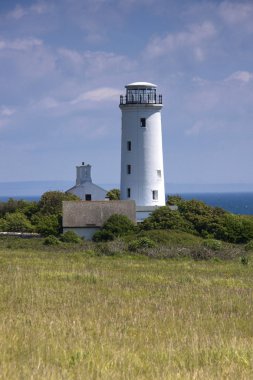 RSPB Lighthouse clipart