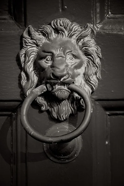Lions Head Door Knocker — Stock Photo, Image