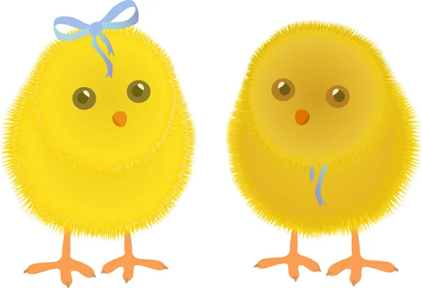 Jarní kuře — Stockový vektor