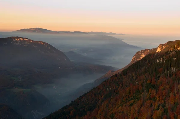 Valle nebbiosa in autunno sera — Foto Stock