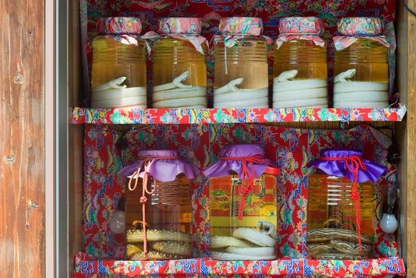 Habu snakes in alcohol jars — Stock Photo, Image