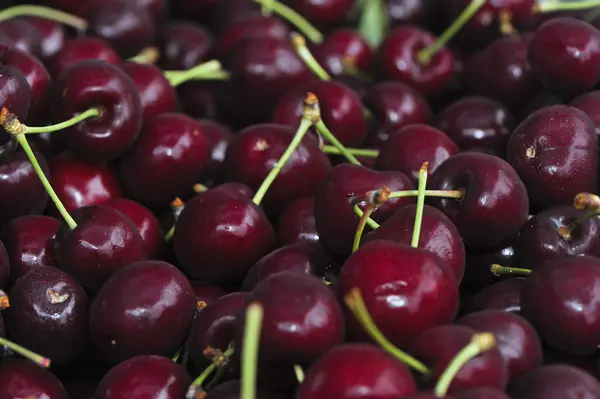 stock image Cherries