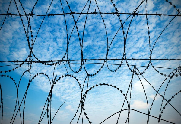 Blue sky and barbed wire — Stock Photo, Image