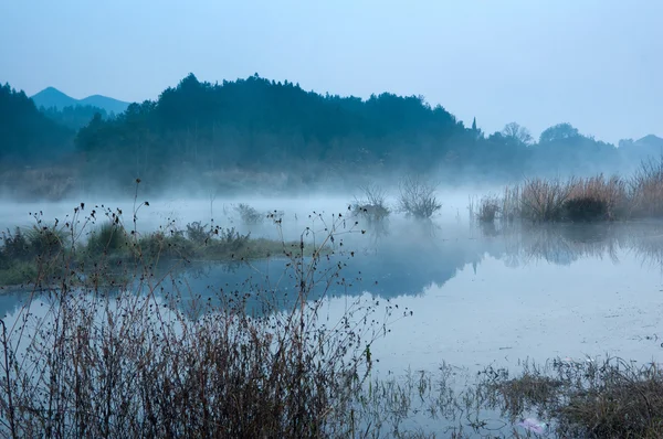 Morgonen den sjön — Stockfoto