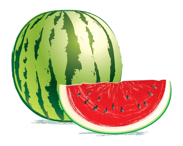 Tasty, fresh watermelon — Stock Vector