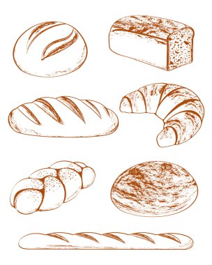Vector Collection of breads clipart