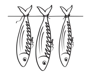 Sea roach. Stockfish clipart