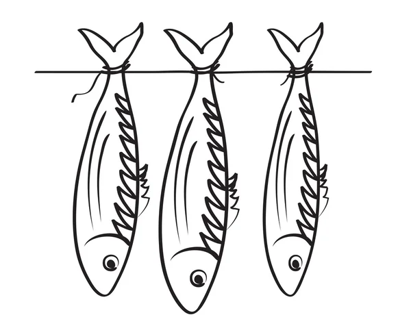 Sea roach. Stockfish — Stock Vector