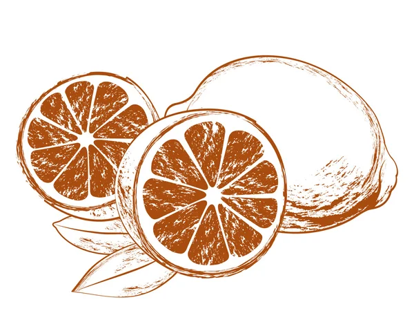 Vektor citroner med blad — Stock vektor