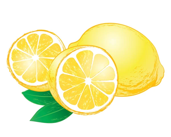 Vektor citroner med blad — Stock vektor