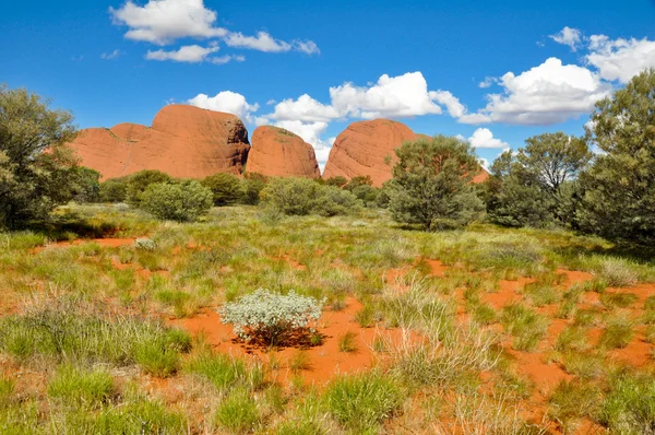 De olgas, Australische woestijn — Stockfoto