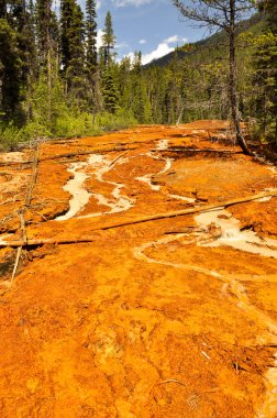 kootenay Milli Parkı, Kanada tencerelerde boya