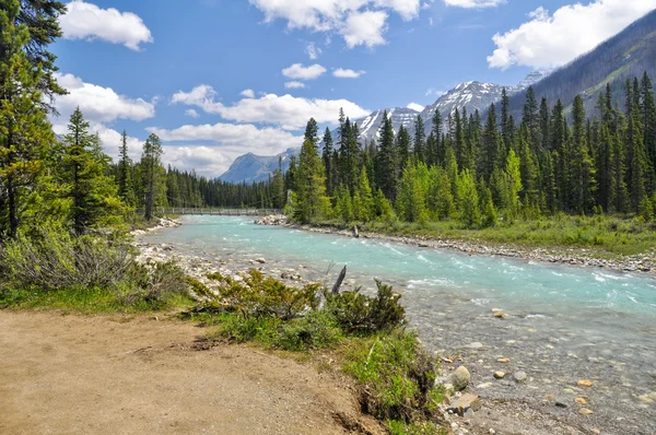 Río Vermilion en el Parque Nacional Kootenay en Canadá — Foto de Stock