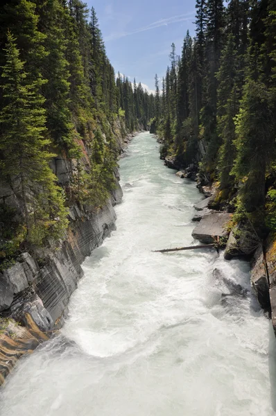 Numa cachoeira no Parque Nacional Kootenay, Canadá — Fotografia de Stock