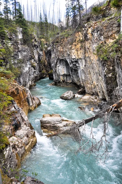 Canyon en marbre au parc national Kootenay, Canada — Photo