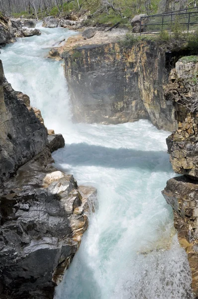在库特尼国家公园，加拿大的大理石峡谷 — 图库照片