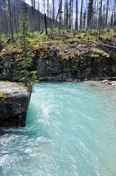 Canyon de mármore no Parque Nacional Kootenay, Canadá — Fotografia de Stock