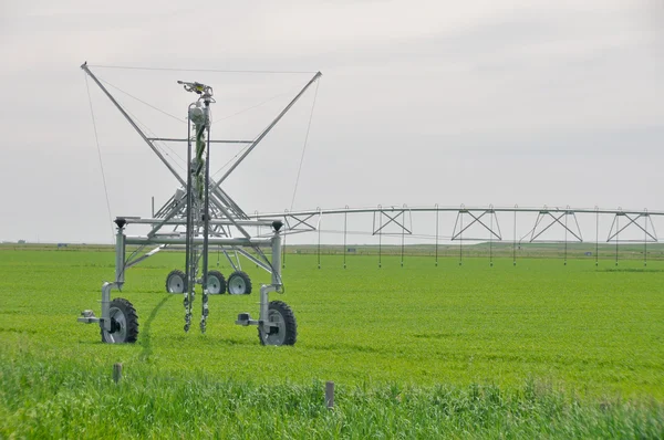 stock image Irrigation sprinklers in a farm field (Canada)