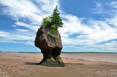 Hopewell Rocks at low tide, Canada clipart