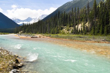 Vermilion river at Kootenay National Park in Canada clipart