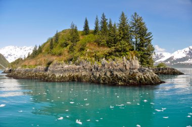 aialik bay, kenai fjords np, alaska kayrak Adası