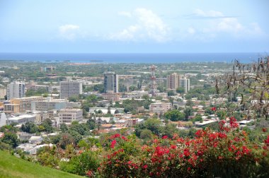 Panoramic view of Ponce, Puerto Rico clipart