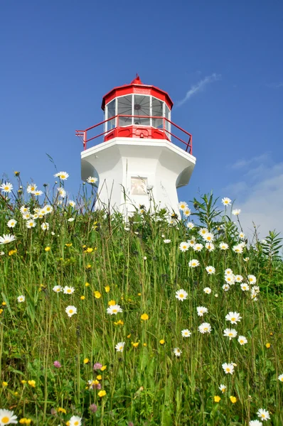 Cape Gaspe lighthouse, Quebec (Canada) — Stock Photo, Image
